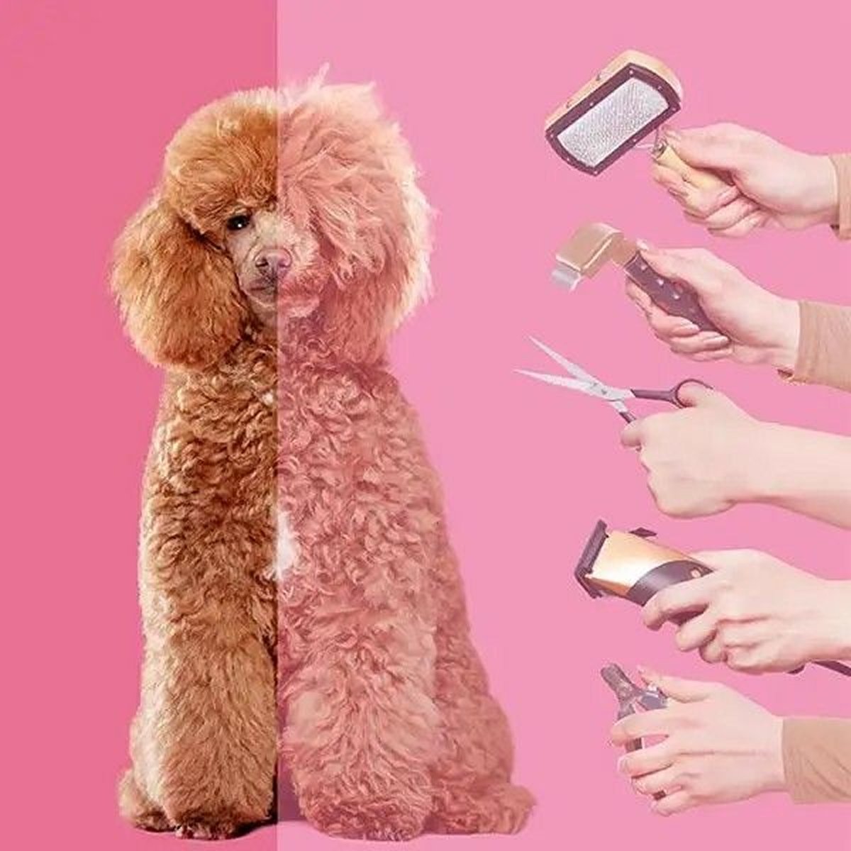 PET GROOMING