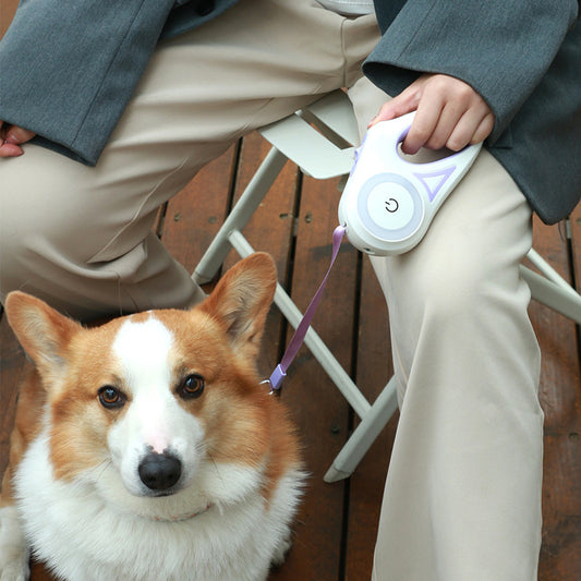 Retractable Leash & LED Collar Set – Perfect for Evening Walks